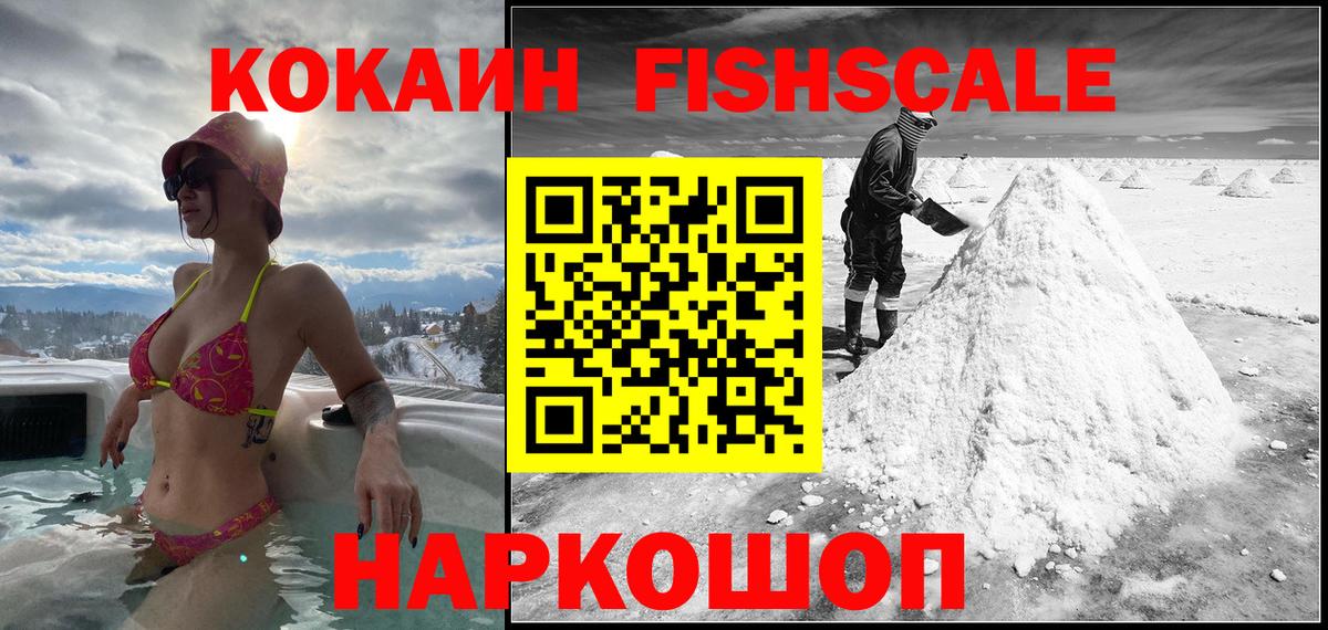 купить наркотики сайты  Cocaine FishScale  Вход с VPN  Нерюнгри  COCAIN Колумбийский 