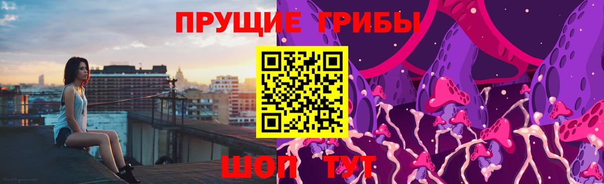 Псилоцибиновые грибы мухоморы  даркнет сайт  Галлюциногенные грибы Cubensis  Нерюнгри  Вход с VPN 